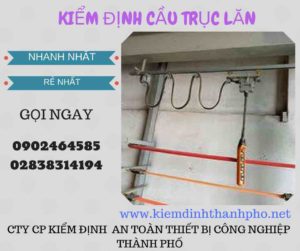 Hình ảnh kiểm định Cầu trục lăn