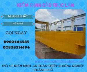 Hình ảnh kiểm định Cầu trục lăn