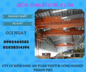 Hình ảnh kiểm định Cầu trục lăn