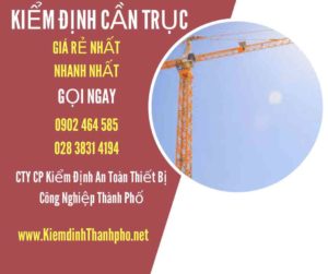 Hình ảnh kiểm định Cần trục