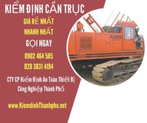 Hình ảnh kiểm định Cần trục