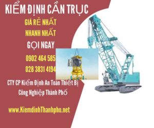 Hình ảnh kiểm định Cần trục