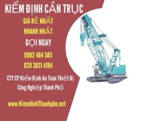 Hình ảnh kiểm định Cần trục