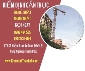 Hình ảnh kiểm định Cần trục