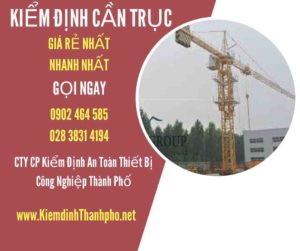 Hình ảnh kiểm định Cần trục