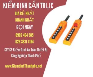 Hình ảnh kiểm định Cần trục