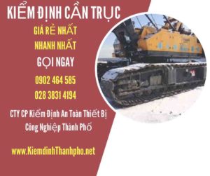 Hình ảnh kiểm định Cần trục