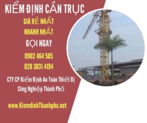 Hình ảnh kiểm định Cần trục