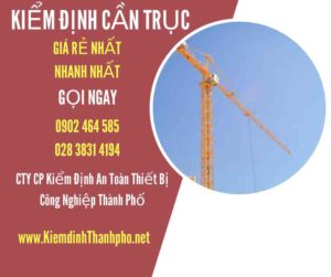 Hình ảnh kiểm định Cần trục