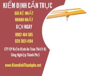 Hình ảnh kiểm định Cần trục