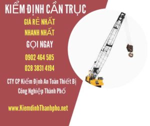 Hình ảnh kiểm định Cần trục