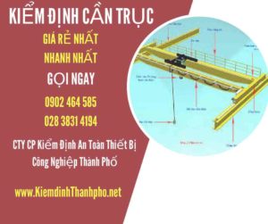 Hình ảnh kiểm định Cần trục