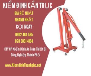 Hình ảnh kiểm định Cần trục