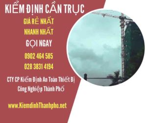 Hình ảnh kiểm định Cần trục