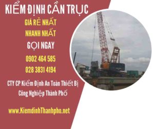 Hình ảnh kiểm định Cần trục