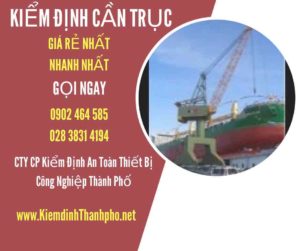 Hình ảnh kiểm định Cần trục