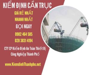 Hình ảnh kiểm định Cần trục