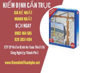 Hình ảnh kiểm định Cần trục