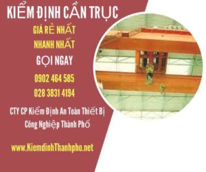 Hình ảnh kiểm định Cần trục