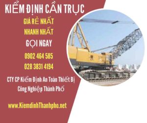 Hình ảnh kiểm định Cần trục