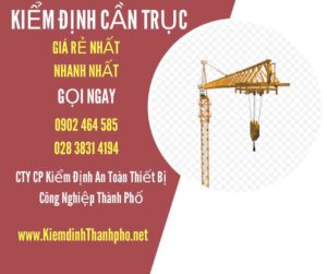 Hình ảnh kiểm định Cần trục