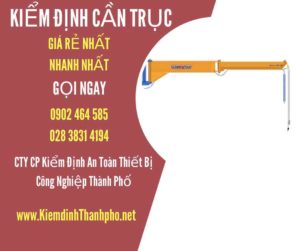 Hình ảnh kiểm định Cần trục