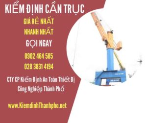 Hình ảnh kiểm định Cần trục