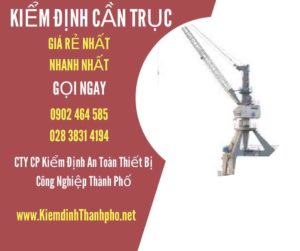 Hình ảnh kiểm định Cần trục