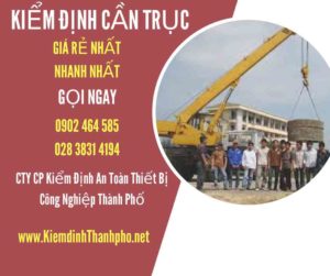 Hình ảnh kiểm định Cần trục