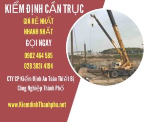 Hình ảnh kiểm định Cần trục