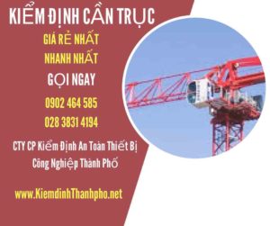 Hình ảnh kiểm định Cần trục