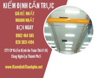 Hình ảnh kiểm định Cần trục