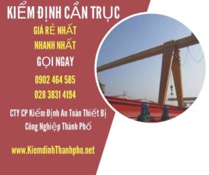 Hình ảnh kiểm định Cần trục