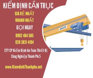 Hình ảnh kiểm định Cần trục