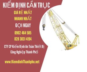 Hình ảnh kiểm định Cần trục