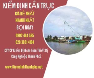 Hình ảnh kiểm định Cần trục