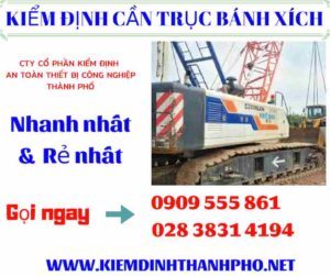 Hình ảnh kiểm định cần trục bánh xích