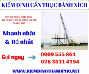 Hình ảnh kiểm định cần trục bánh xích