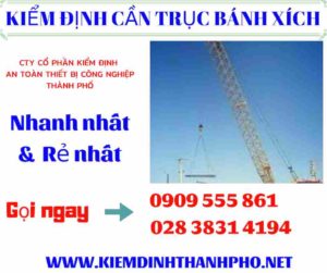 Hình ảnh kiểm định cần trục bánh xích