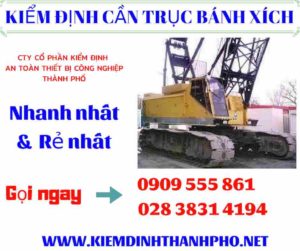 Hình ảnh kiểm định cần trục bánh xích