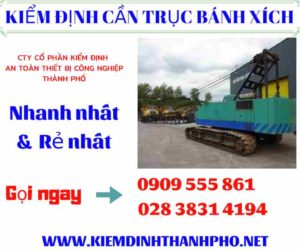 Hình ảnh kiểm định cần trục bánh xích