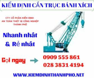 Hình ảnh kiểm định cần trục bánh xích