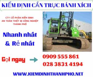 Hình ảnh kiểm định cần trục bánh xích