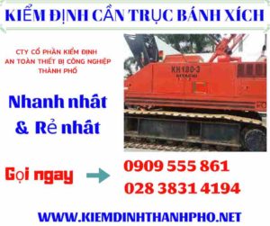 Hình ảnh kiểm định cần trục bánh xích