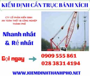 Hình ảnh kiểm định cần trục bánh xích