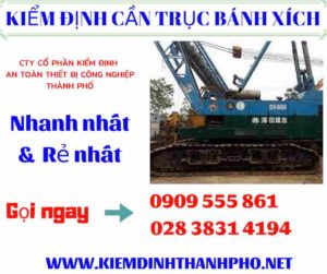 Hình ảnh kiểm định cần trục bánh xích