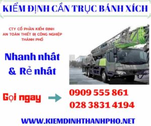 Hình ảnh kiểm định cần trục bánh xích