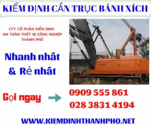 Hình ảnh kiểm định cần trục bánh xích