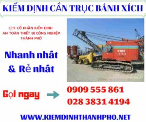 Hình ảnh kiểm định cần trục bánh xích