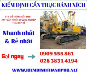 Hình ảnh kiểm định cần trục bánh xích